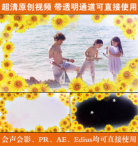 Pr视频特效_Pr视频特效模板免费下载_Pr视频