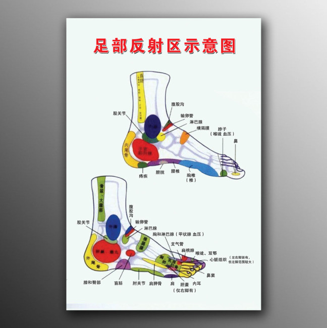 足部反射区示意图