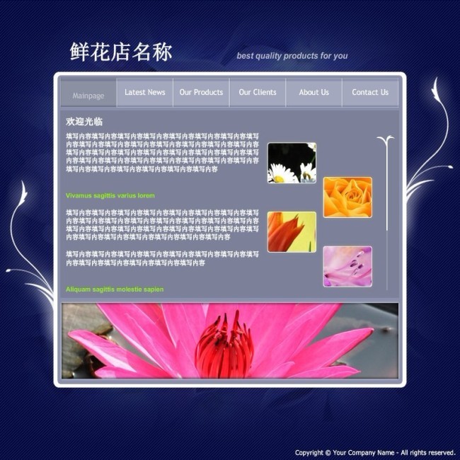 flash整站源码免费下载