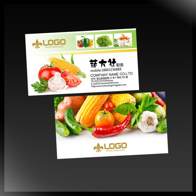 名片|vip卡模板 名片模板 批发零售名片 > 蔬菜经销商名片  版权图片