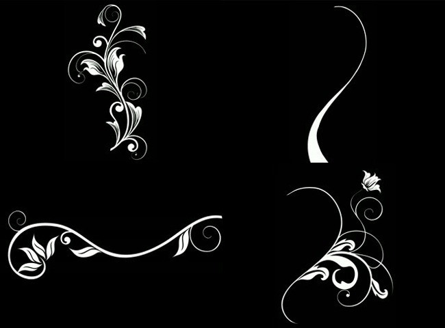 AE素材视频素材广告素材合成素材带通道花模