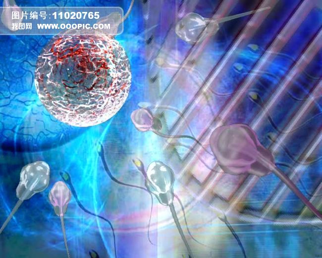 素材医学DNA精子教程卵子视频细胞卡剪主题华为图片