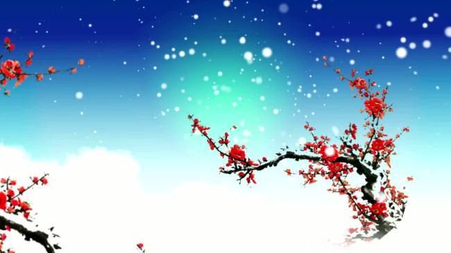视频模板 背景视频 led视频素材 > 雪梅梅花  版权图片 设计师