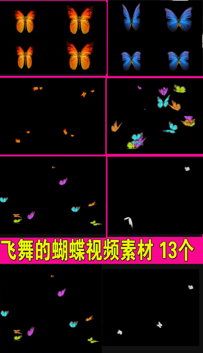 飞舞的蝴蝶视频素材13个9个带透明通道