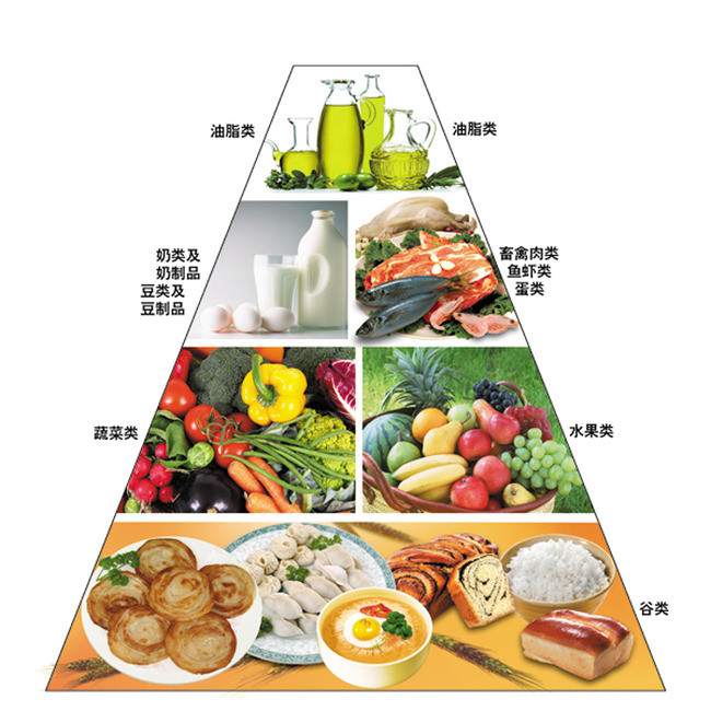 食物金字塔
