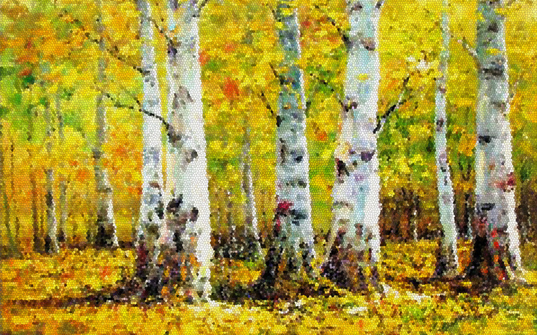 白桦树汁的功效与作用 true