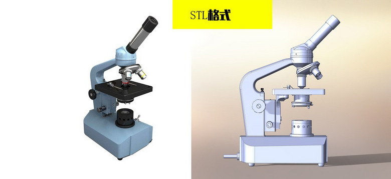显微镜3d模型