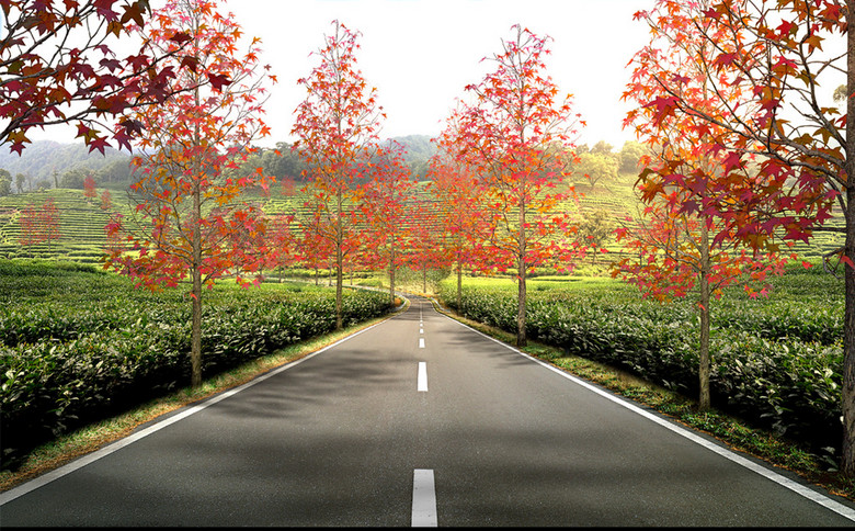 其它模型 其他模型 > 景区车行道路景观设计效果图  版权图片 素材