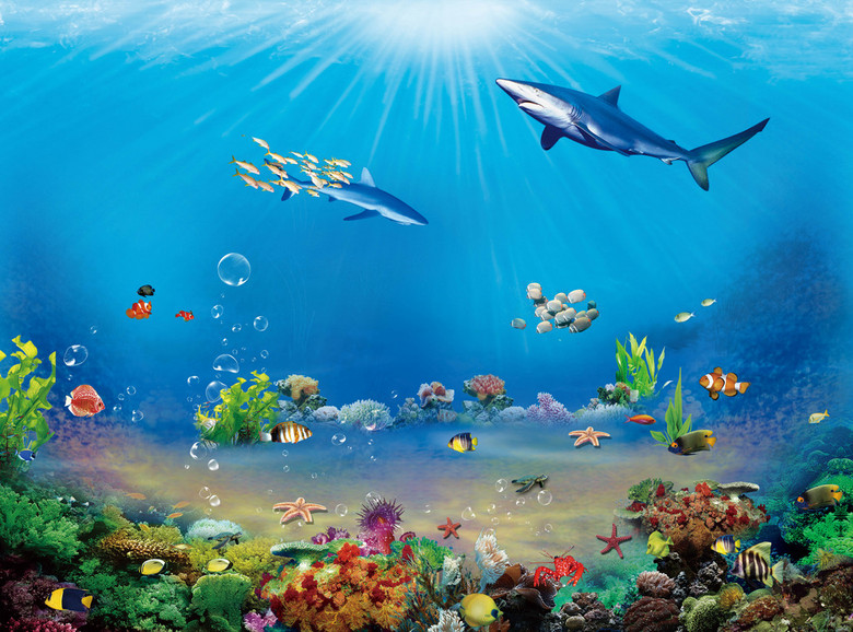 原创海底世界背景海底世界psd源文件
