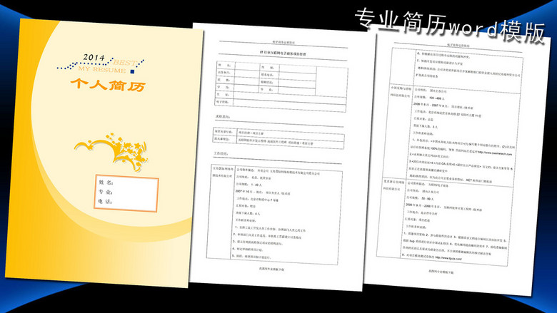 电子商务项目经理简历模板word