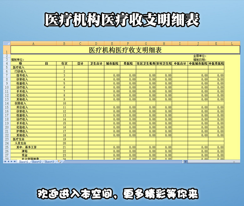 收入支出明细表模板_医疗收入费用明细表
