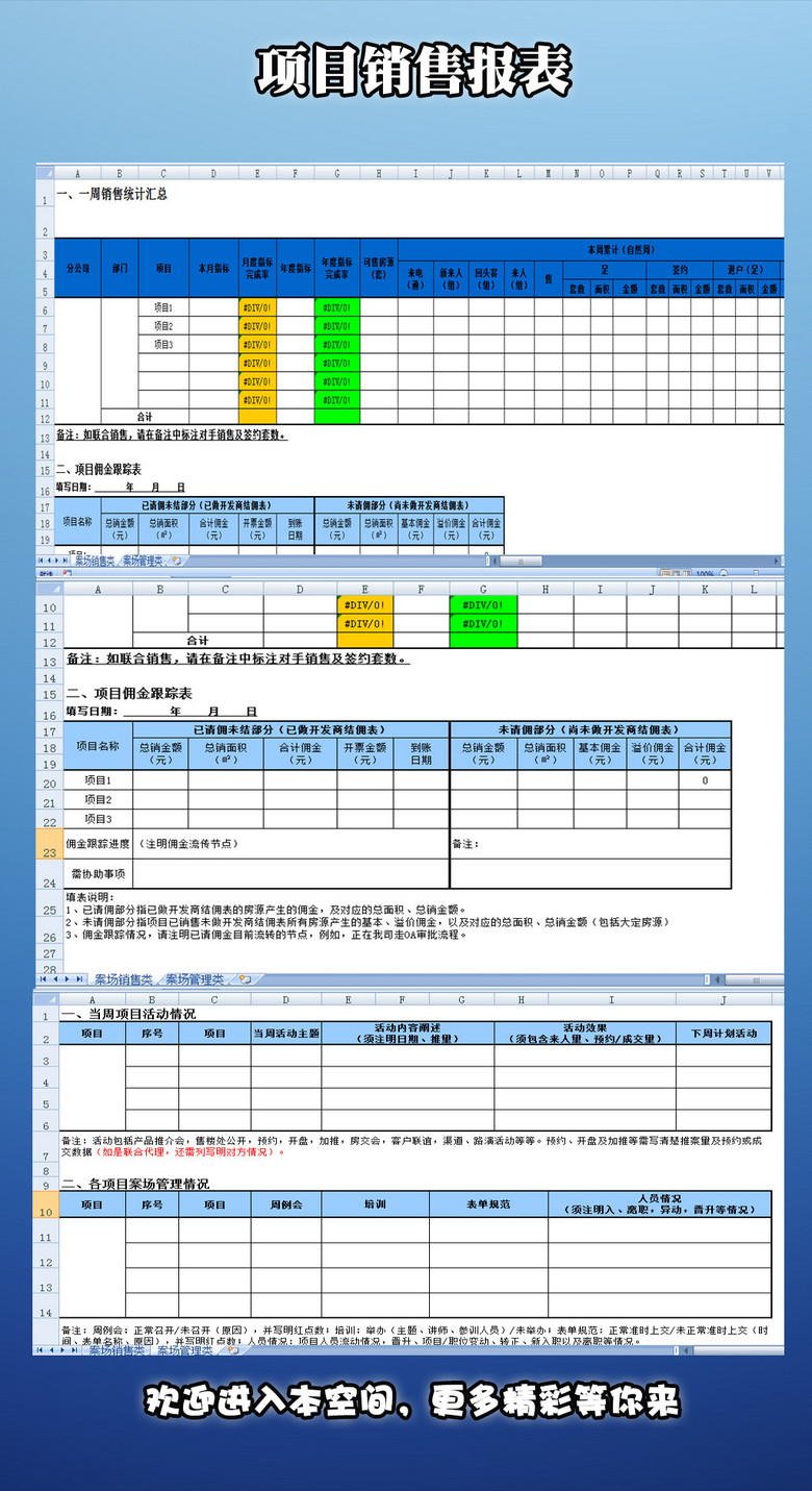 项目销售报表