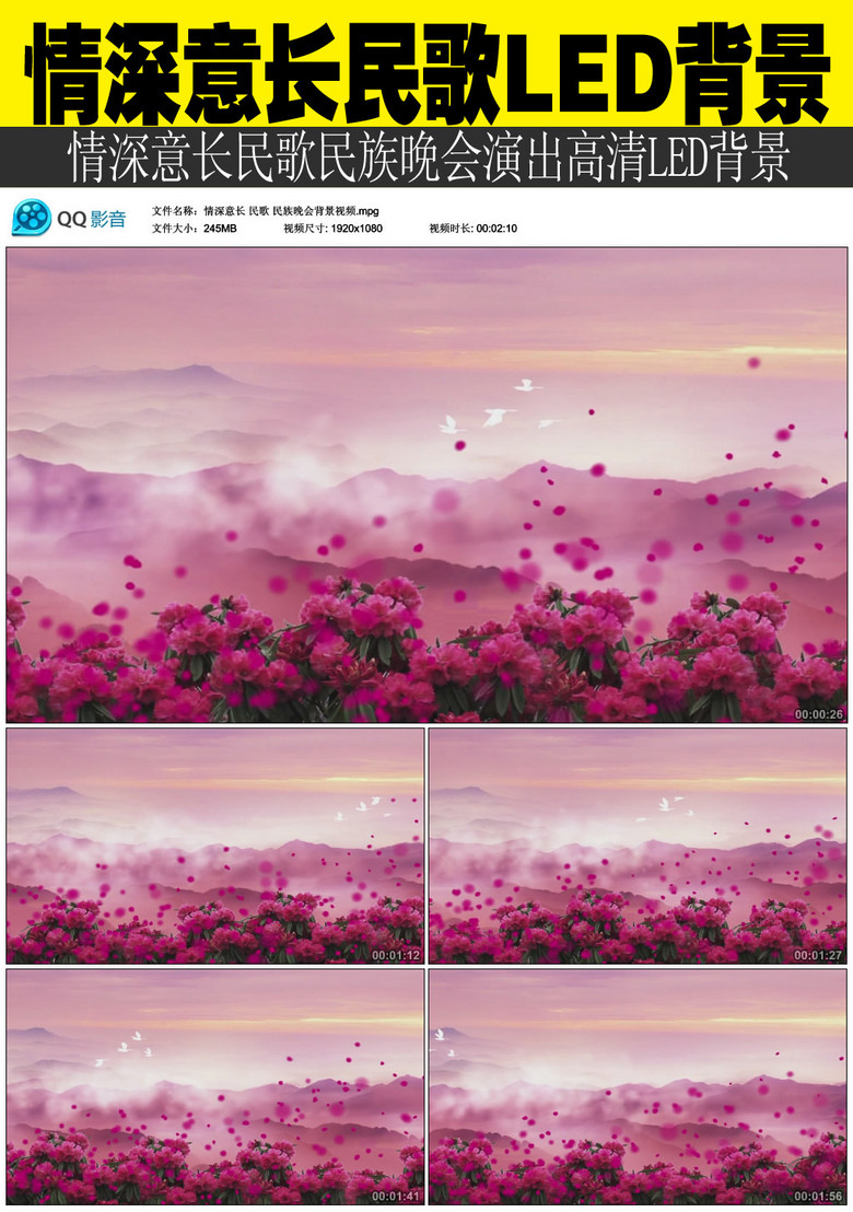 情深意长歌曲简谱_情深意长简谱