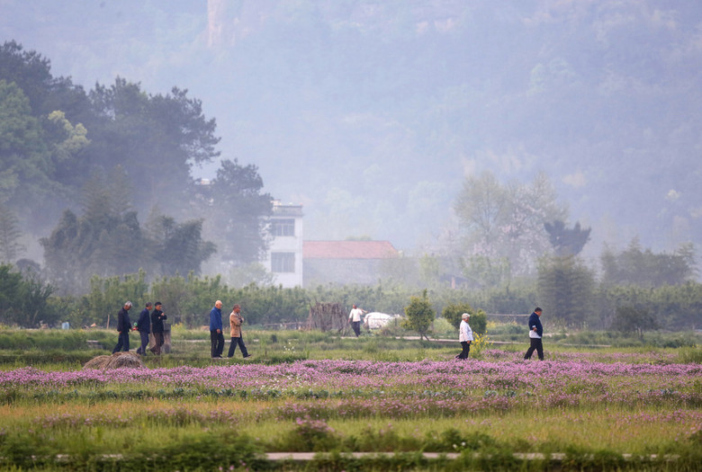 美丽乡村农村生活散步老人悠闲模板下载(图片