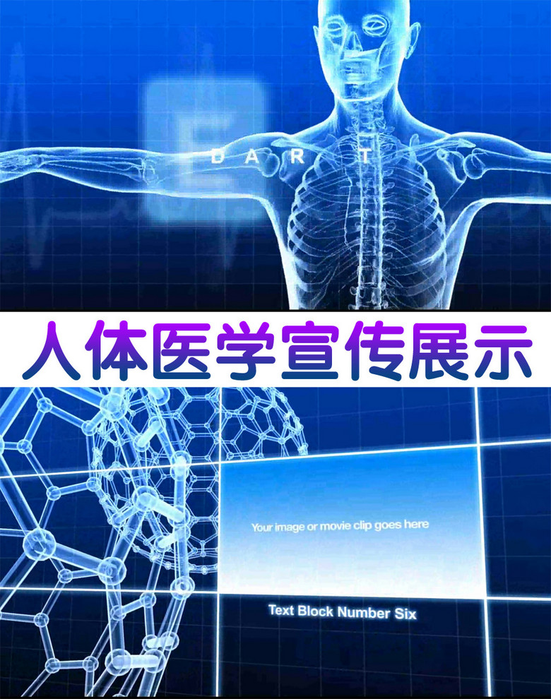 人体医学宣传展示ae模板