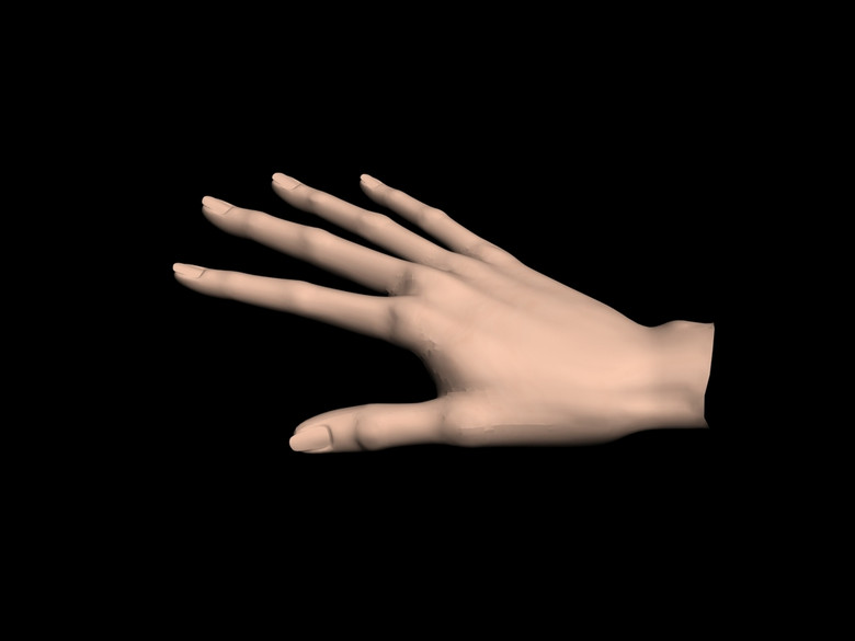 女人纤细的手3d模型素材