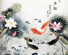 黑鱼图片素材_黑鱼图片素材下载_黑鱼背景素