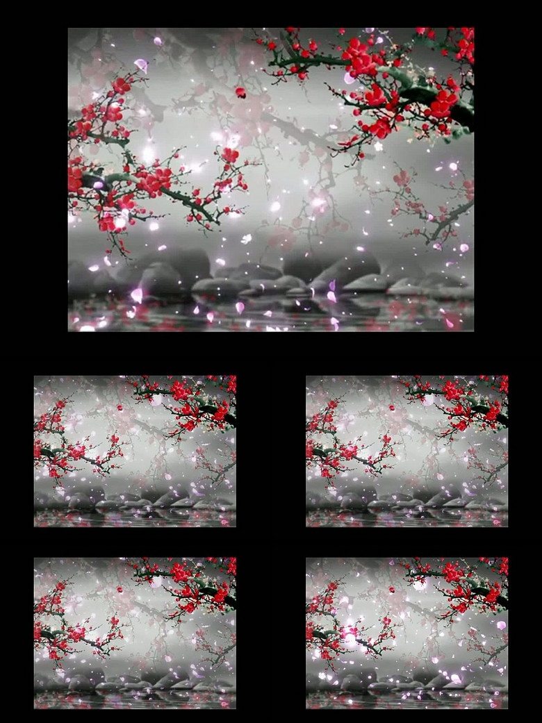 背景视频 动态|特效|背景 > 中国风水墨桃花梅花樱花花瓣飘落视频
