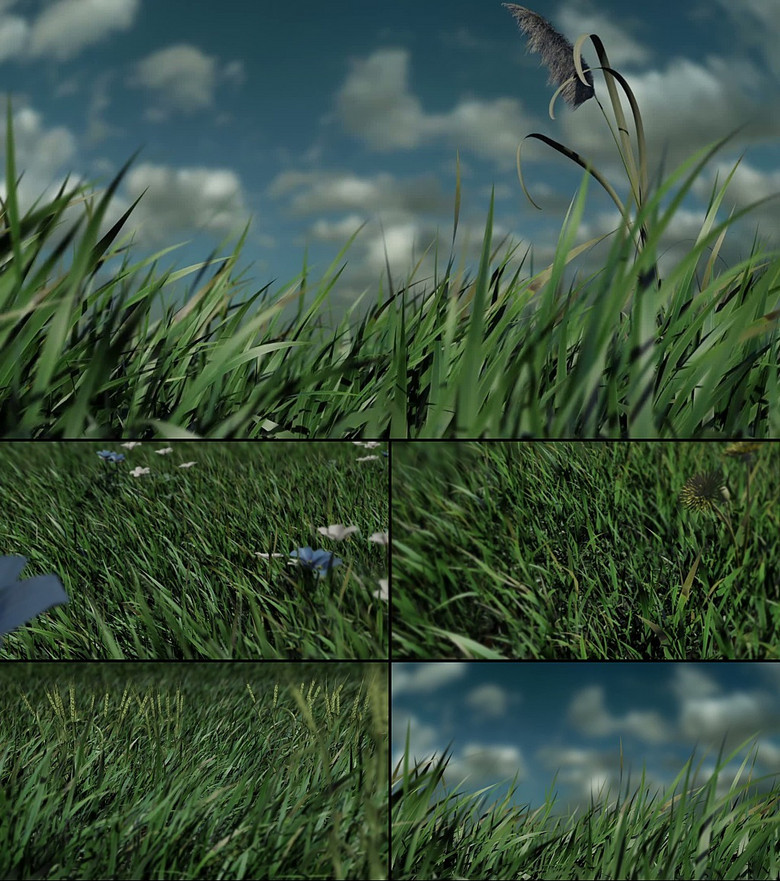 3d草地云天花草