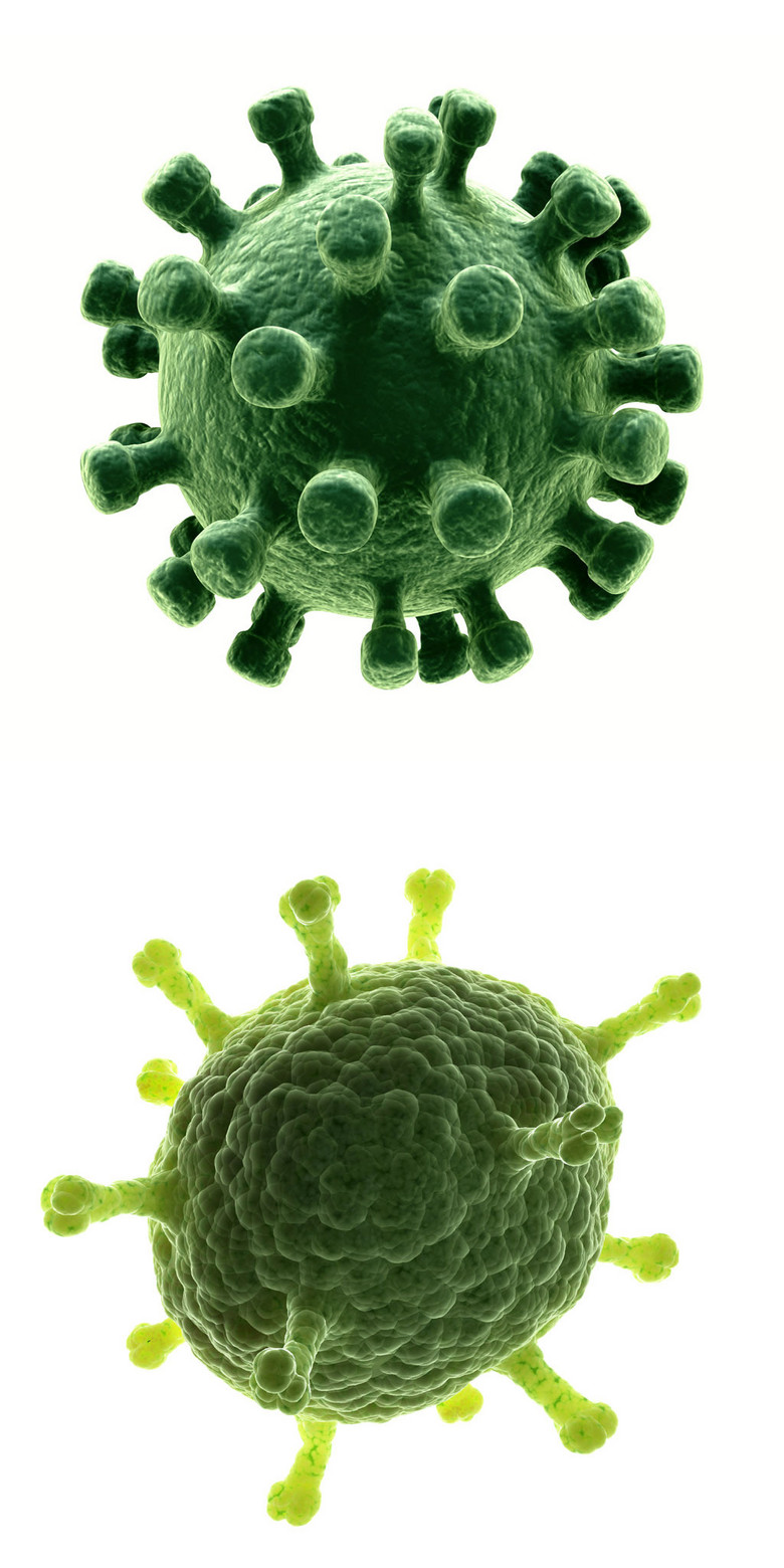 单细胞细菌病菌高清图片