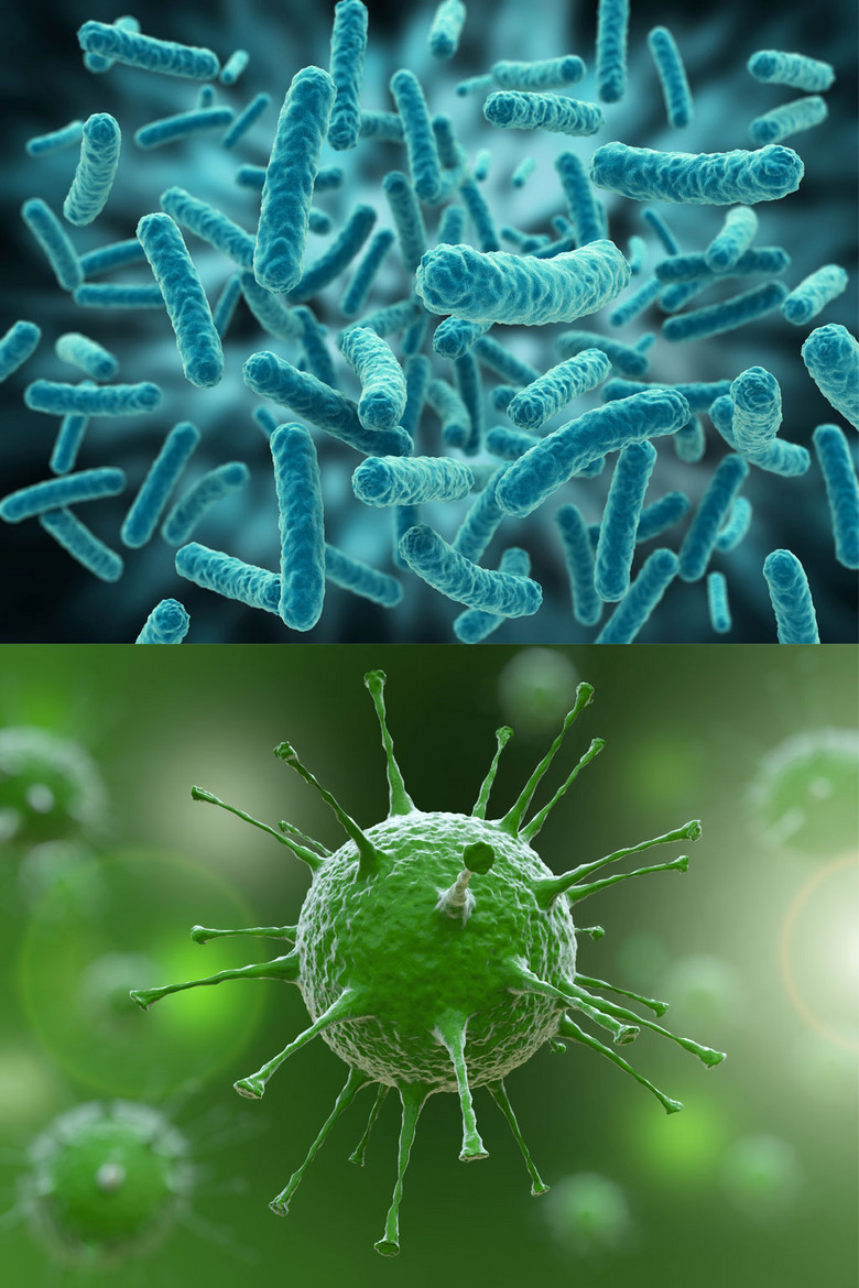 细菌病菌高清图片
