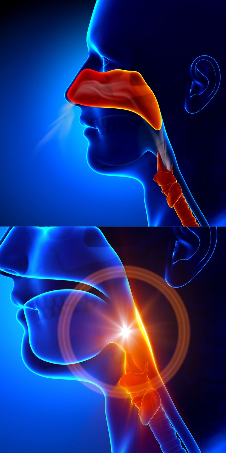 成语嚼什么咽_咽腭弓什么样子图片(2)