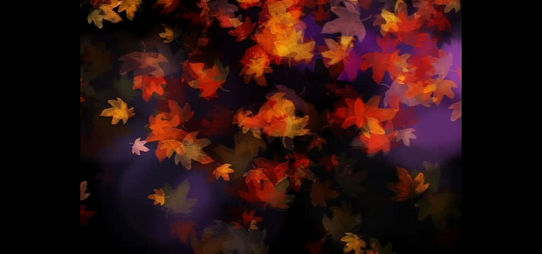 华为手机音乐播放器设置循环播放_华为p8 显示器 播放_枫叶播放器 华为