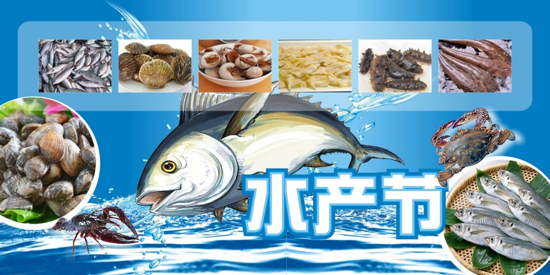 水产节海产节海报展板背景素材