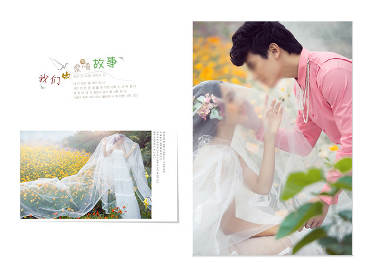 婚纱摄影价格表模板_16寸婚纱相册模板(3)