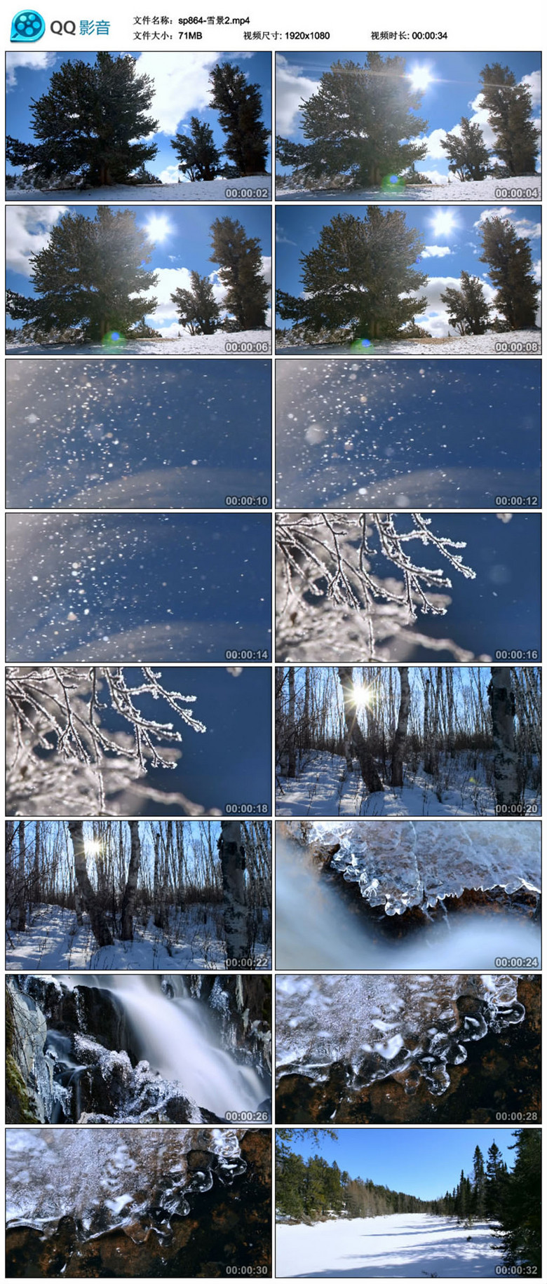 实拍视频 自然世界 动/植物  > 雪景视频素材2  版权图片 素材图片