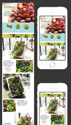 淘宝手机端详情页_淘宝手机版店铺详情页模板