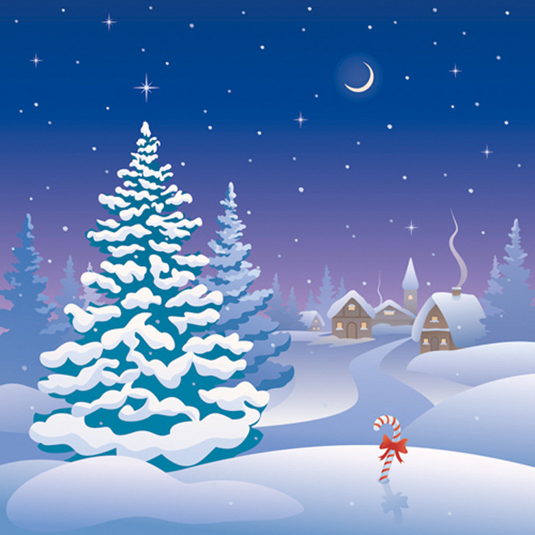 冬季夜晚雪景风景画