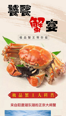 微信详情页模板_微信详情页设计素材下载_微