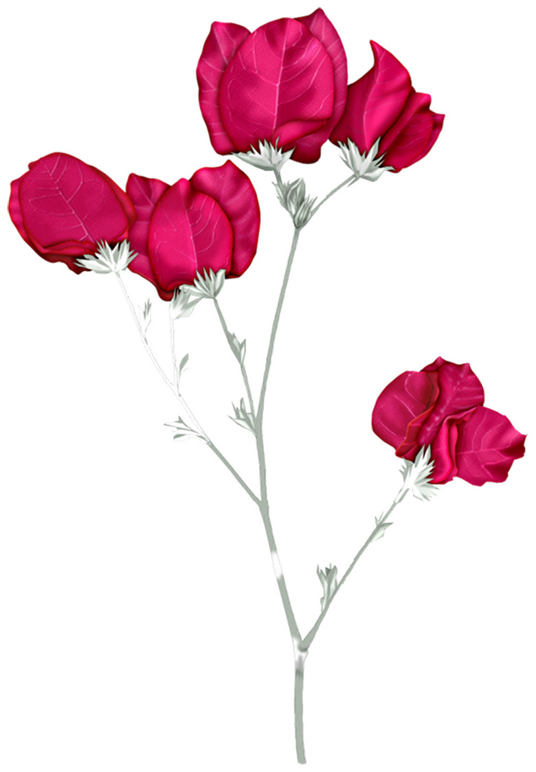 版权所有免抠图花卉png设计红花素材