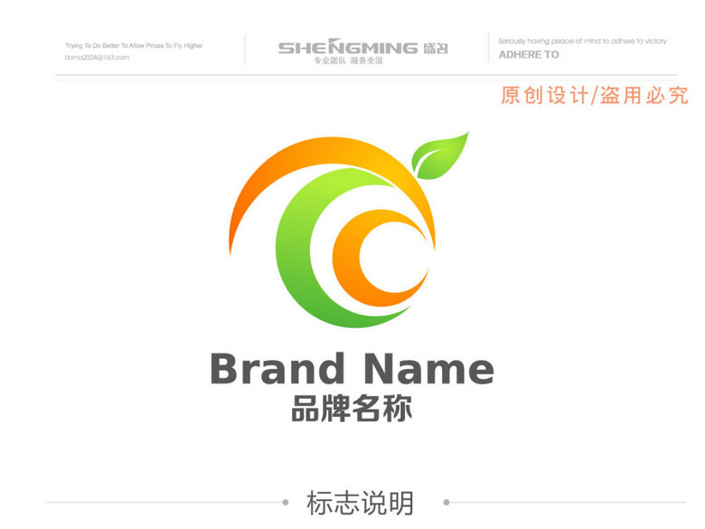 C橘子IT电子行业软件LOGO标志(图片编号:142