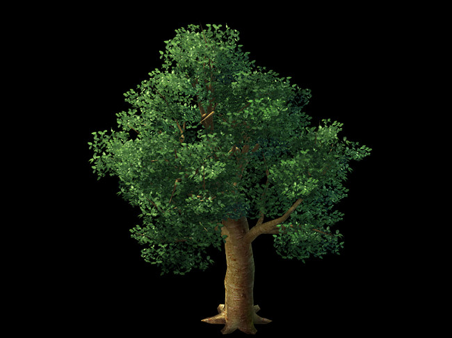 苹果树3d植物模型模板下载(图片编号:144000