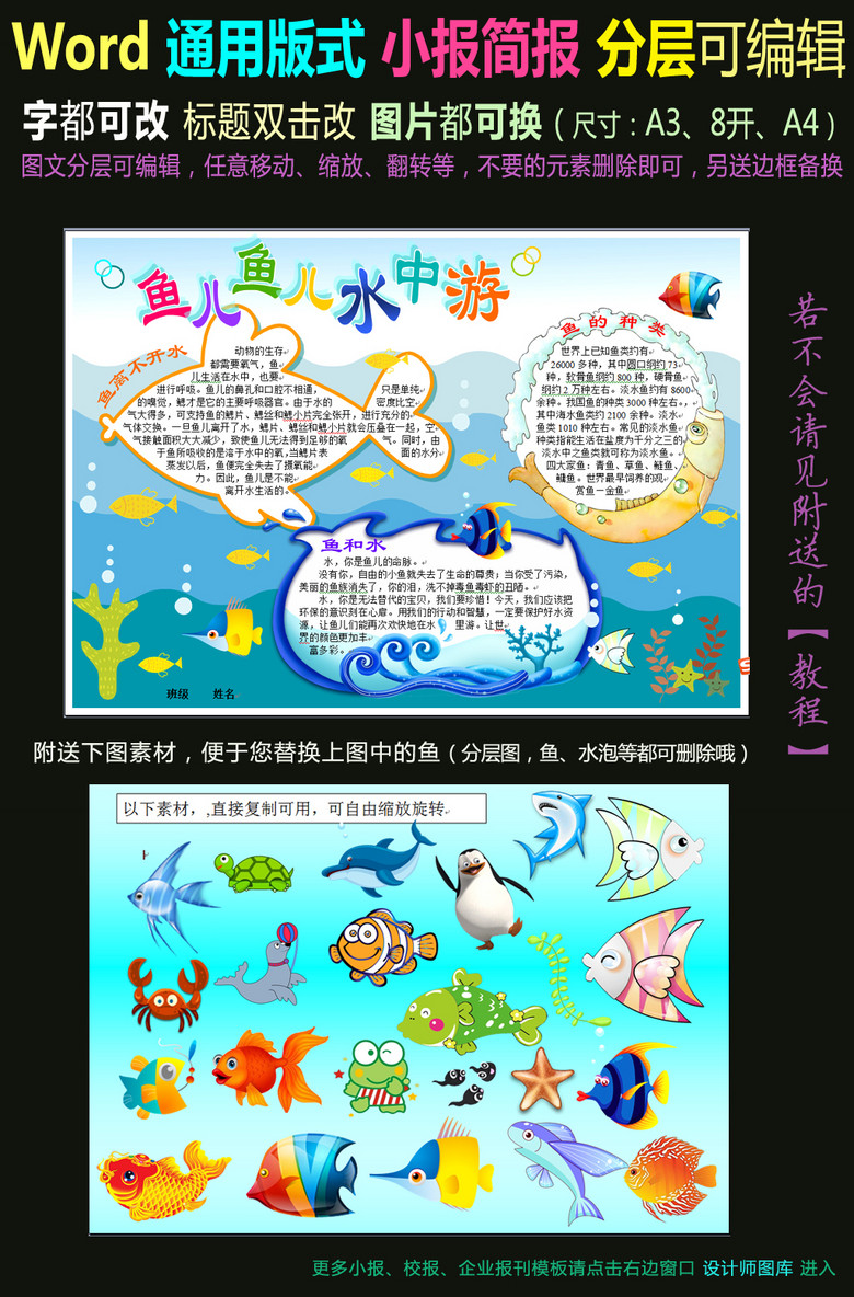 环保手抄报 爱护动植物手抄报 > word电子小报模板海洋动物鱼类介绍