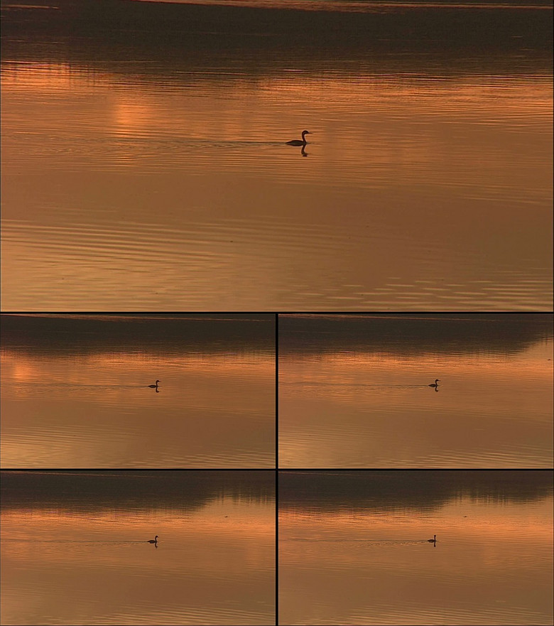 如何用手机拍出高清夕阳视频 true