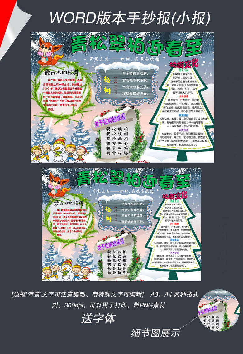 word我喜欢的植物松树小报手抄报