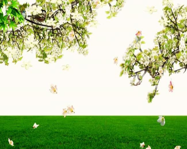 动感梨花飘落模板下载(图片编号:14620831)_动