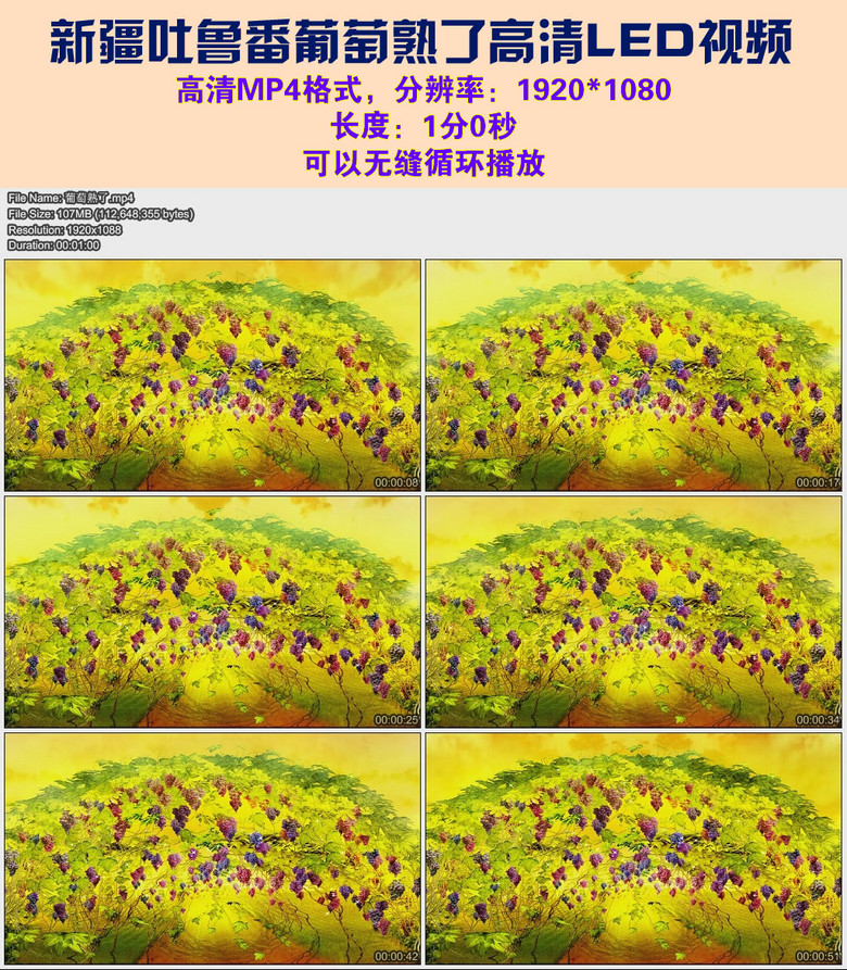 吐鲁番葡萄熟了简谱_吐鲁番的葡萄熟了(3)