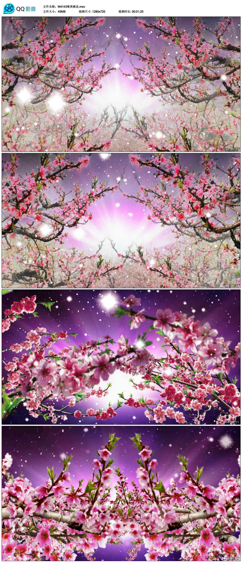 唯美梅花桃花花园树林开花高清背景视频素材