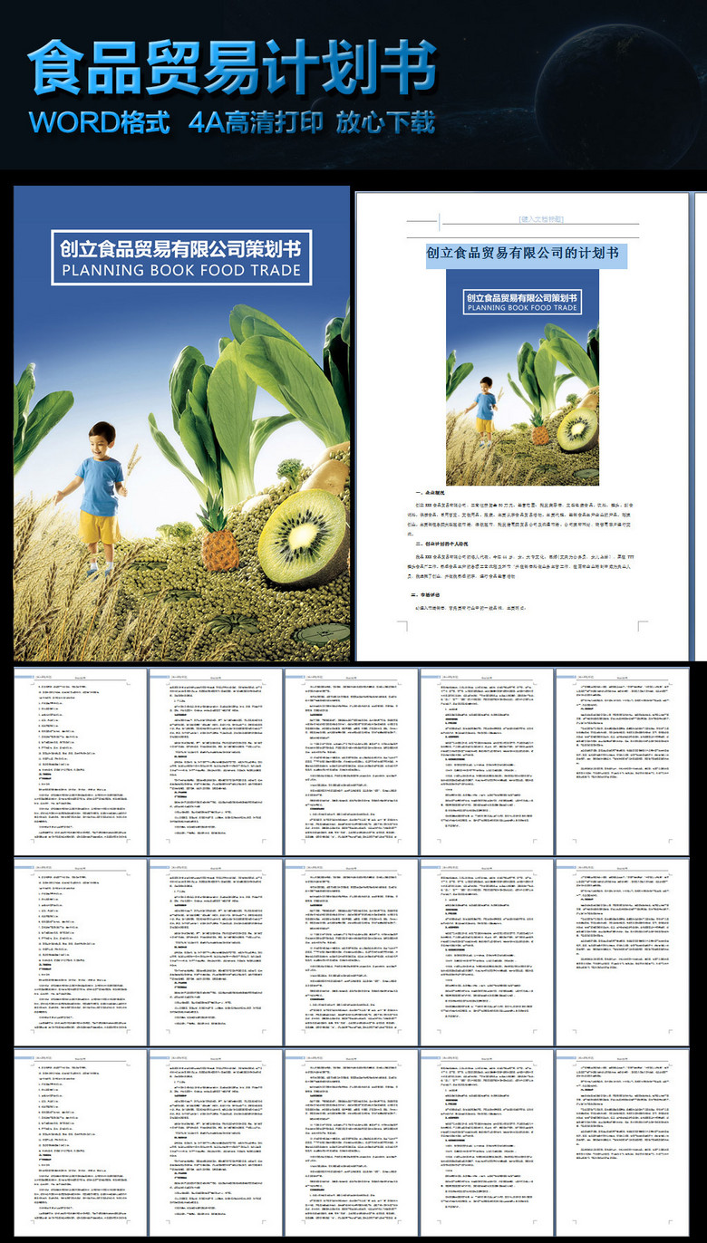 食品贸易创业策划书模版模板下载(图片编号:1