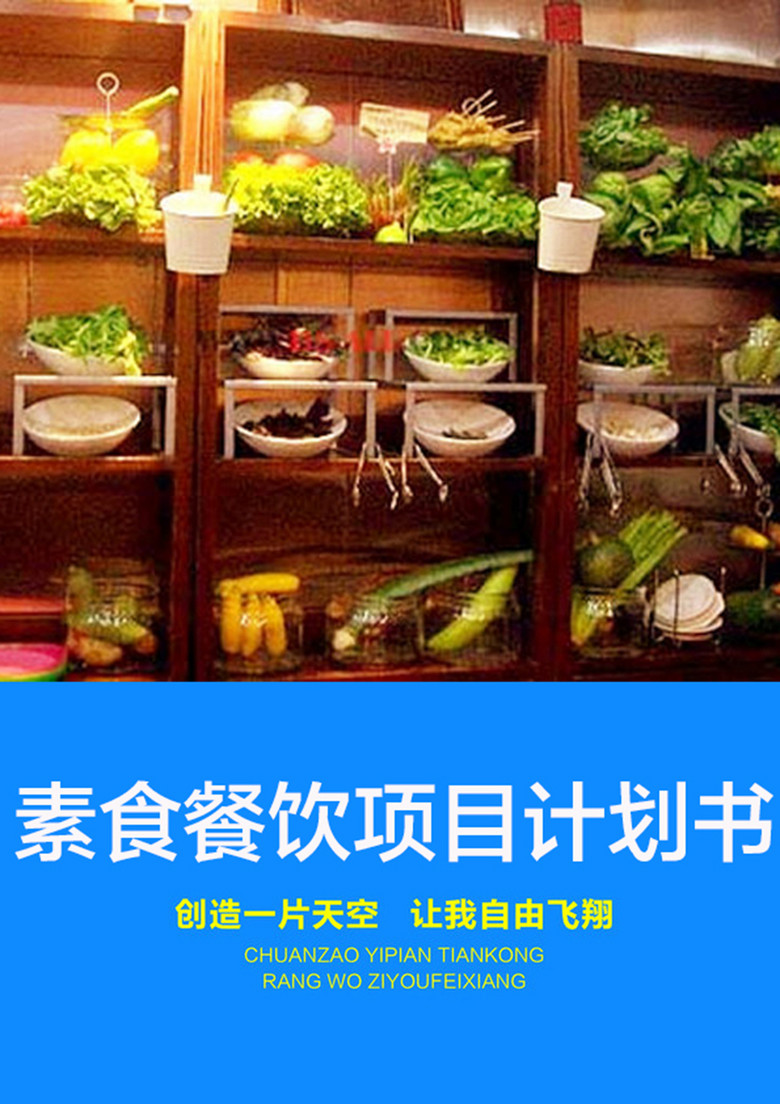 素食餐饮项目创业计划书