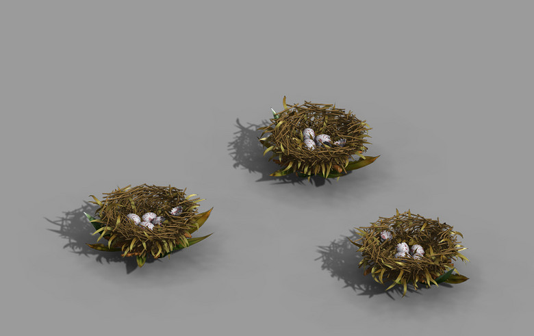 鸟窝鸟巢模型模板下载(图片编号:14856047)_游