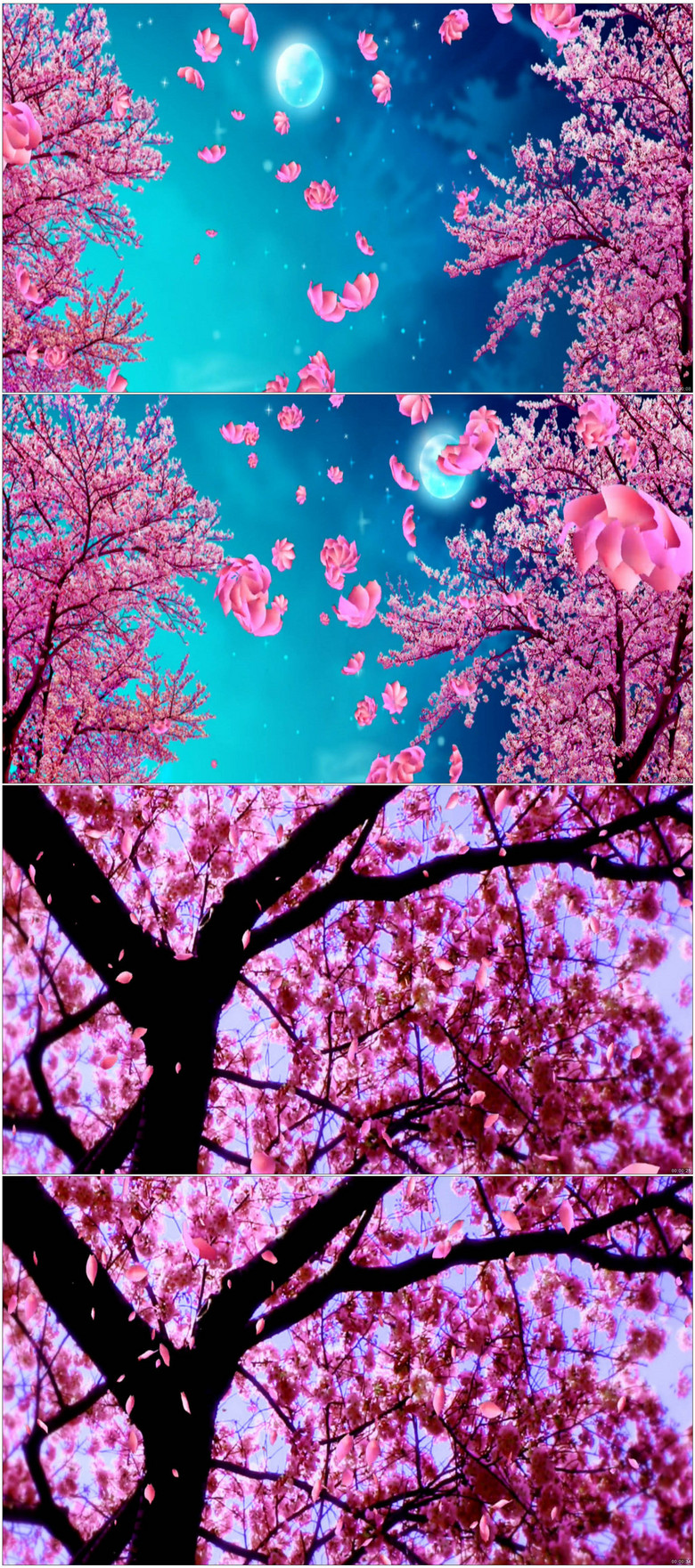 唯美樱花花瓣舞蹈节目LED背景视频(图片编号