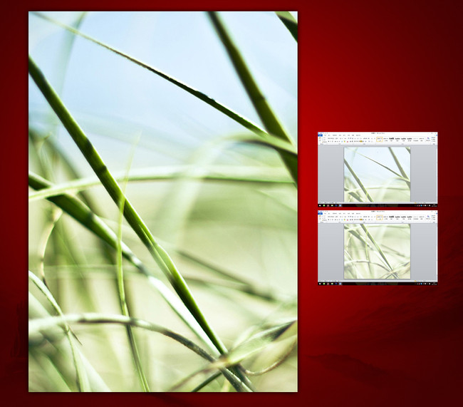 唯美清新word文档背景模板下载(图片编号:148