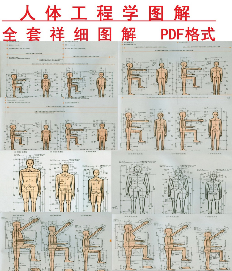 原创人体工程学图解pdf格式
