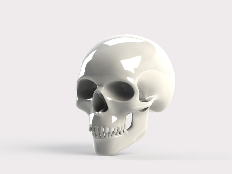 头骨3d模型