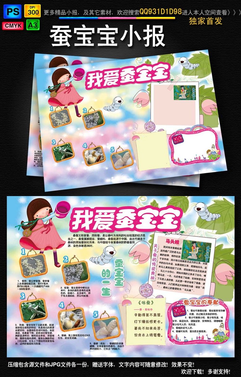原创养蚕小报蚕文化蚕宝宝观察生长日记手抄报